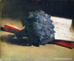 ramo de violetas ramo de violetas