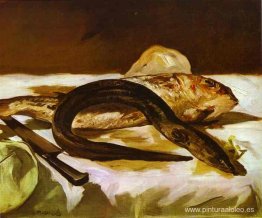 Anguila y Salmonete Anguila y Salmonete