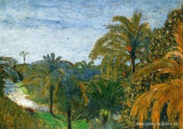 Jardín en Cannes Jardín en Cannes