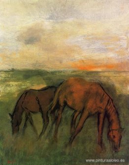 Dos caballos en un pasto Dos caballos en un pasto