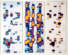 Doug, Joe y Genevieve (de El jardín de las delicias) Doug, Joe y Genevieve (de El jardín de las delicias)