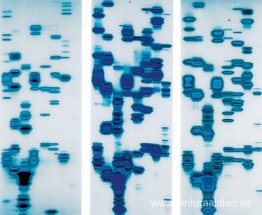 Glenn, Dario y Tyrone (de El jardín de las delicias) Glenn, Dario y Tyrone (de El jardín de las delicias)