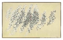 Desarrollo Desarrollo