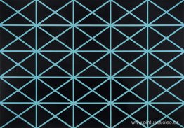 Palacio de Hielo Palacio de Hielo