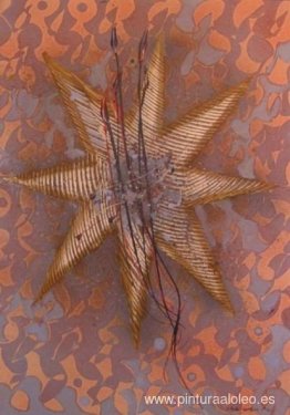 Estrella de mar Estrella de mar