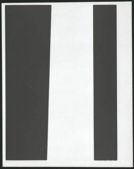 Negro/Blanco Negro/Blanco