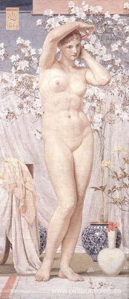 una venus una venus