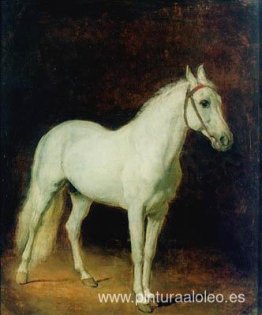 Caballo blanco. Estudiar. Caballo blanco. Estudiar.