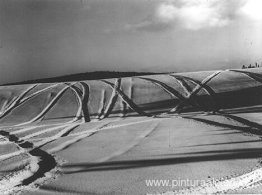 Carrera de una hora Carrera de una hora