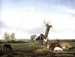 Ganado y cabras en un prado Ganado y cabras en un prado