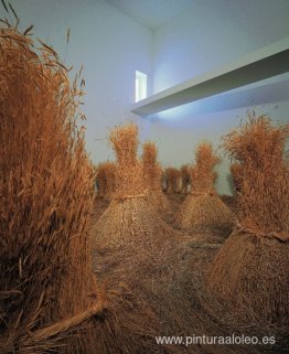 Um campo depois da colheita para eliminar estética do nosso corp Um campo depois da colheita para eliminar estética do nosso corp