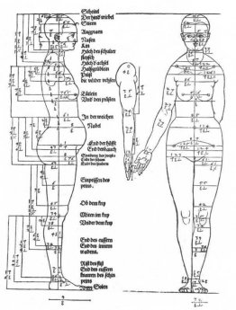 Estudios sobre las proporciones del cuerpo femenino Estudios sobre las proporciones del cuerpo femenino