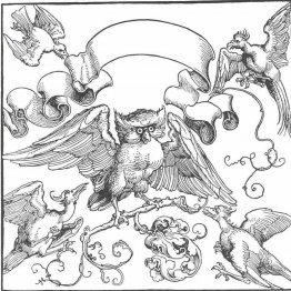El búho en lucha con otras aves. El búho en lucha con otras aves.