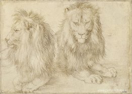 Dos leones sentados Dos leones sentados