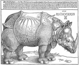 Rinoceronte Rinoceronte