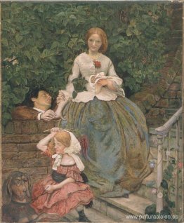 Etapas de la crueldad Etapas de la crueldad