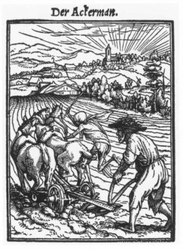 El labrador El labrador