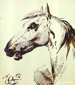 cabeza de caballo cabeza de caballo