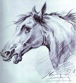 cabeza de caballo cabeza de caballo