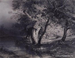 Bosque cerca del lago, iluminado por el sol. Bosque cerca del lago, iluminado por el sol.