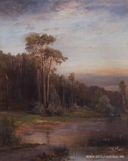 Paisaje de verano con pinos cerca del río. Paisaje de verano con pinos cerca del río.