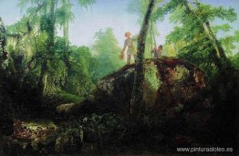 Piedra en el bosque cerca del derrame. Piedra en el bosque cerca del derrame.