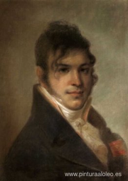 Retrato de A.I. bibikov Retrato de A.I. bibikov