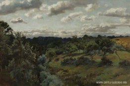 Paisaje Paisaje