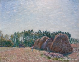 Pajares en Moret Morning Light Pajares en Moret Morning Light