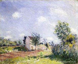 Primavera Primavera