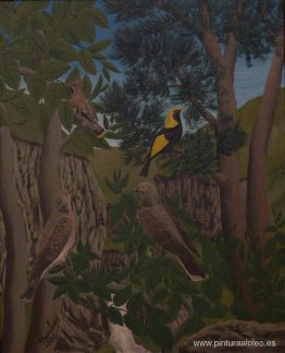 Aves en un desfiladero Aves en un desfiladero