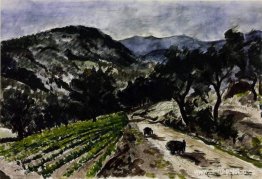 El camino desde Grimaud El camino desde Grimaud