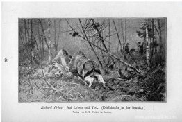 Auf Leben und Tod (Edelhirsche in der Brunft) Auf Leben und Tod (Edelhirsche in der Brunft)