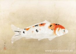 Higoi (carpa roja) Higoi (carpa roja)