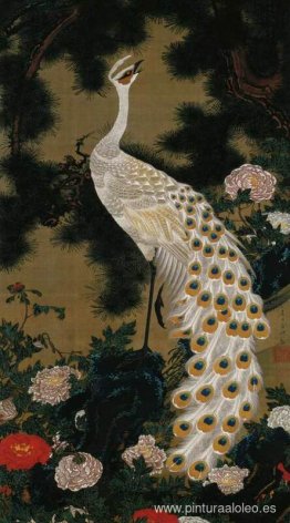 Viejo pino y pavo real Viejo pino y pavo real