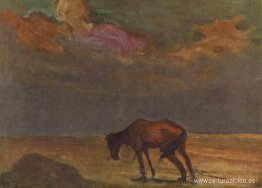 El sombrío destino húngaro El sombrío destino húngaro