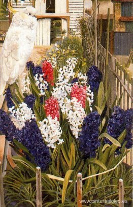 La Cacatúa Blanca (Cacatúa de la Coronación) La Cacatúa Blanca (Cacatúa de la Coronación)