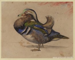 Un draco mandarín Un draco mandarín