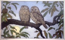 dos búhos dos búhos