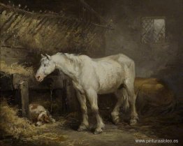 Caballo y perro en un establo Caballo y perro en un establo