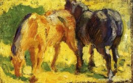 Imagen De Caballo Pequeño Imagen De Caballo Pequeño
