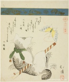 Gato jugando con una mariposa de juguete Gato jugando con una mariposa de juguete