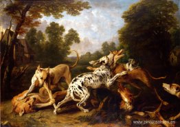 perros peleando perros peleando