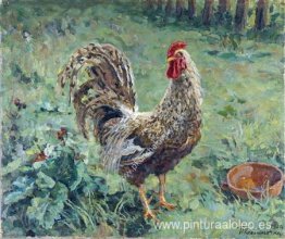 Gallo Gallo