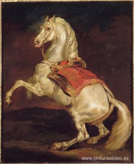 El semental de Napoleón, Tamerlán El semental de Napoleón, Tamerlán