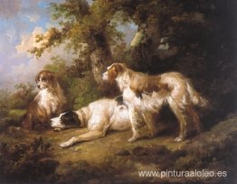 Perros en paisaje - Setters y Pointer Perros en paisaje - Setters y Pointer