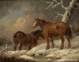 Dos caballos en la nieve Dos caballos en la nieve