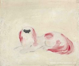 pequinés blanco pequinés blanco