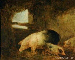 Cerdos en una pocilga Cerdos en una pocilga