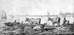 Ver en Dordrecht Ver en Dordrecht